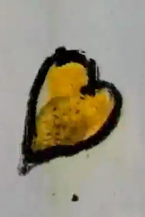 A Film on Family Planning (1979) poster