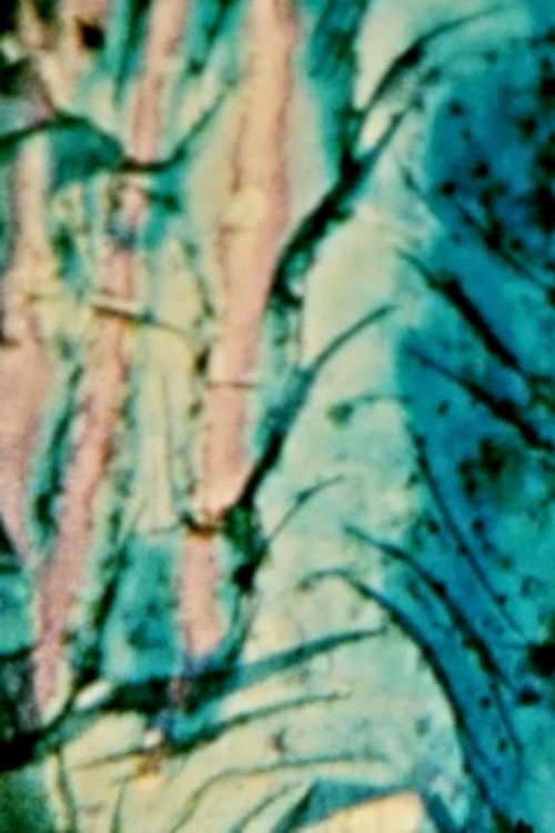 In Diep Hust (1984) poster