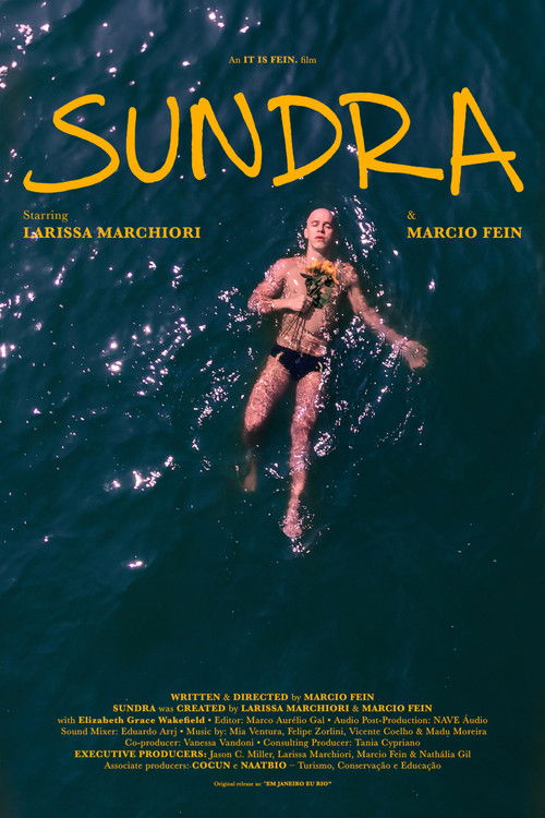 Em Janeiro Eu Rio (2025) poster