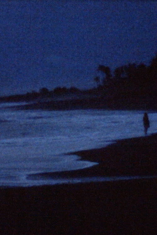 A conversation with the ocean (2021) poster