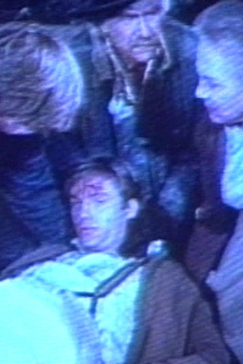 The Waltons (1996) poster