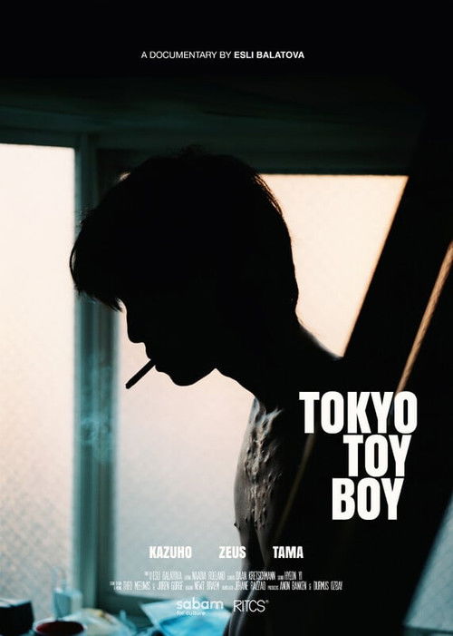 Tokyo Toy Boy (2025) poster