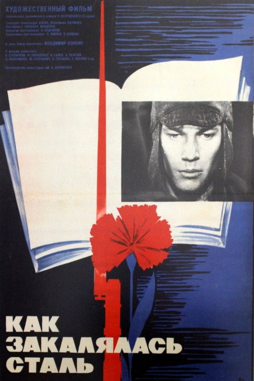 Как закалялась сталь (1973) poster