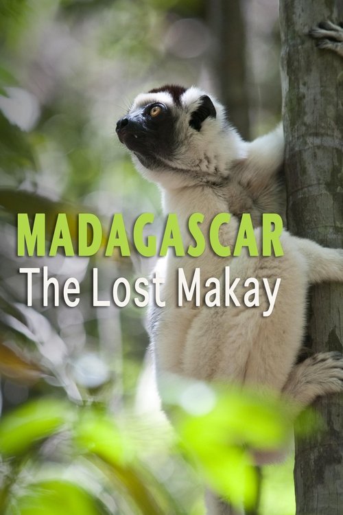 Madagascar: The Lost Makay (2011) poster
