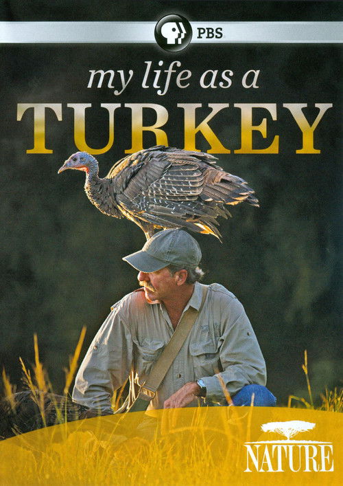 My Life as a Turkey (2011) poster