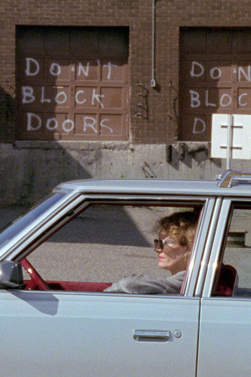 Calamity Jane & Delphine Seyrig: A Story (2020) poster