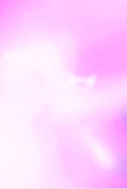 Scanning of Modulations (2001) poster