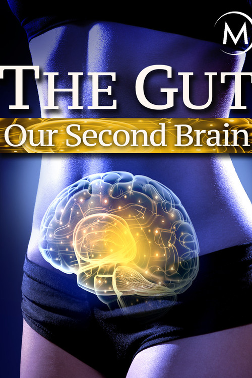 The Gut: Our Second Brain (2014) poster