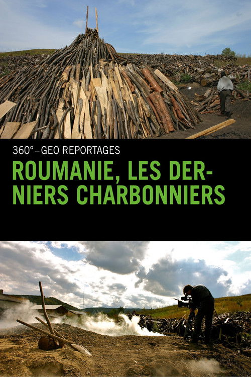 Roumanie, les derniers charbonniers (2013) poster