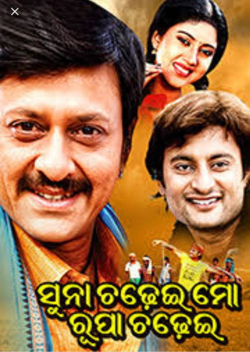 Suna Chadhei Mo Rupa Chadhei (2009) poster