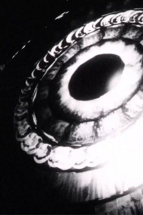 Retrospectroscope (1997) poster