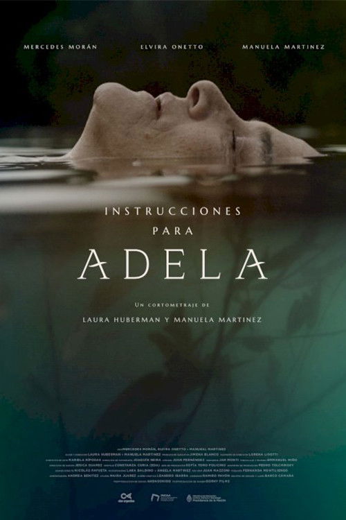 Instrucciones para Adela (2019) poster