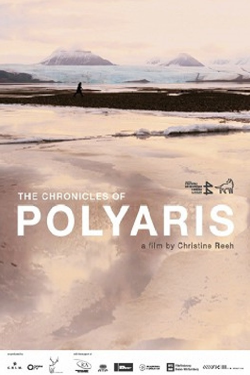The Chronicles of Polyaris (2014) poster