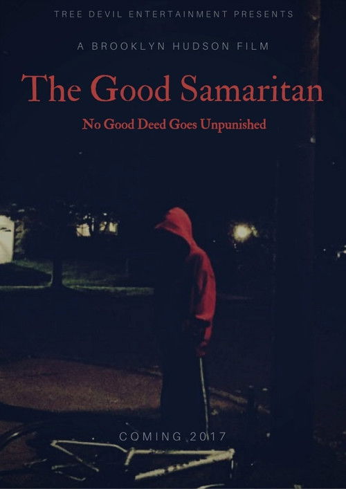The Good Samaritan (2017) poster