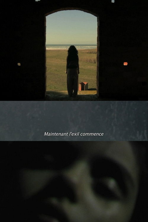 La fièvre (2015) poster