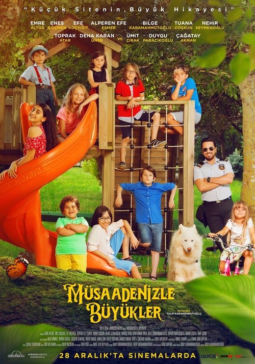 Müsaadenizle Büyükler (2018) poster