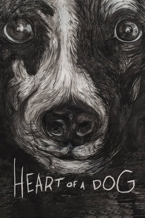 Heart of a Dog (2015) poster
