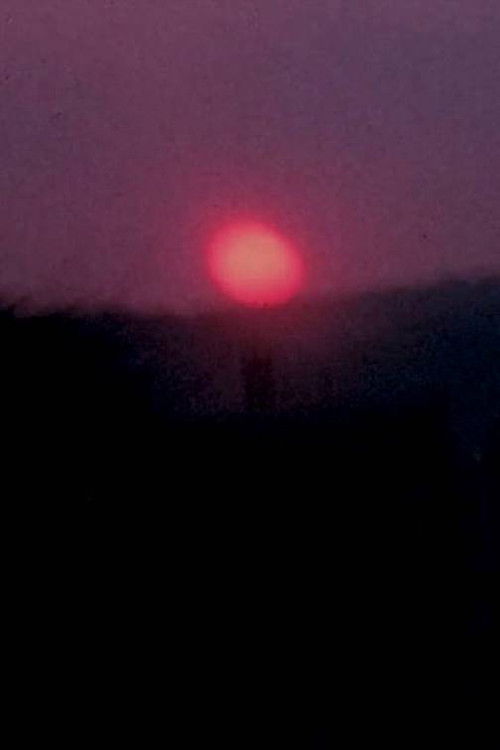 Carolyn and Me: Part Three (1969) poster