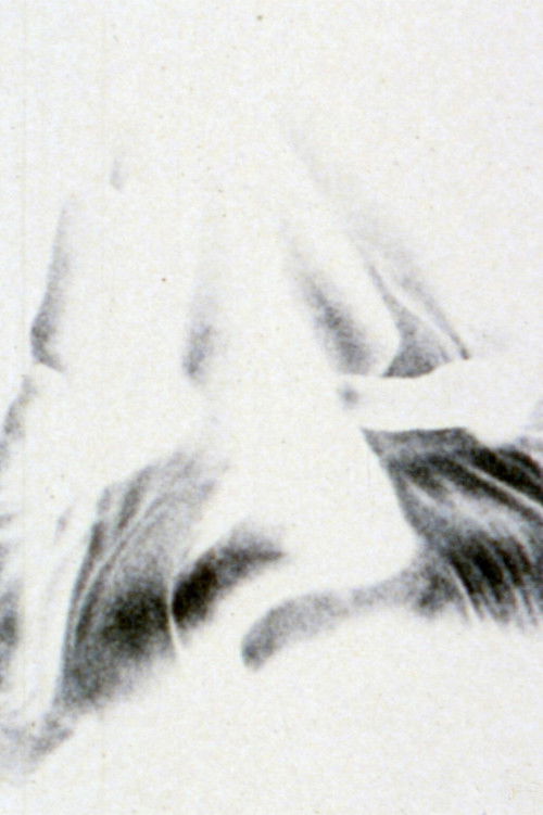 Pitchfork and the Devil (1979) poster