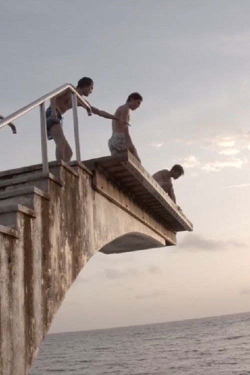 Lupine (2021) poster