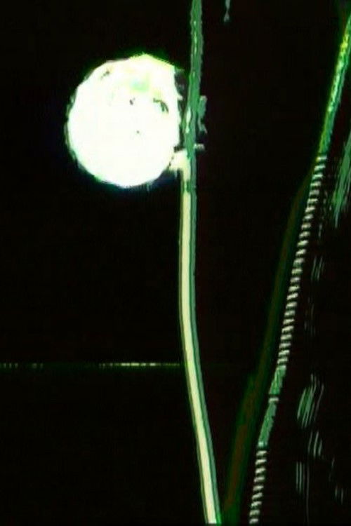 Moonlight (1997) poster