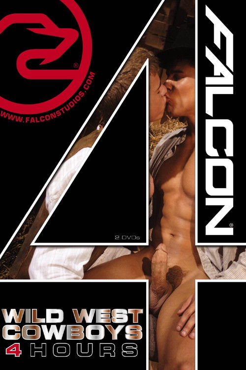 Wild West Cowboys (2010) poster