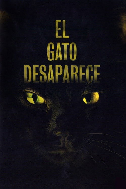 The Cat Vanishes (2011) poster