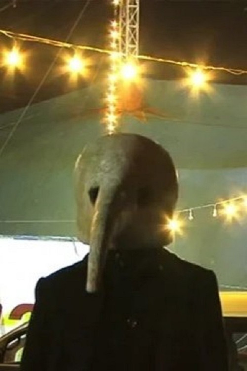 Antilef, La Caída Del Sol (2009) poster