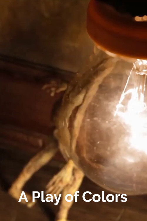 A Play of Colors (2014) poster