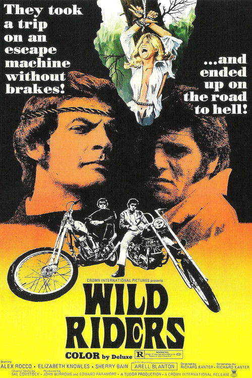 Wild Riders (1971) poster