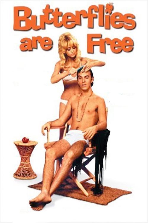 Butterflies Are Free (1972) poster
