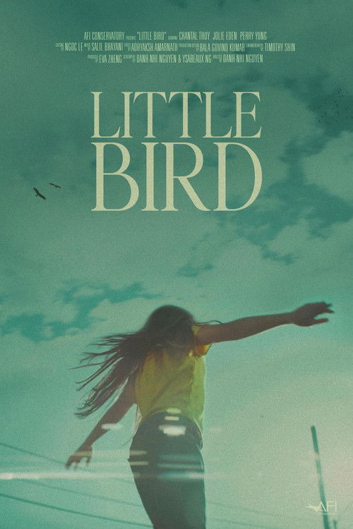 Little Bird (2024) poster