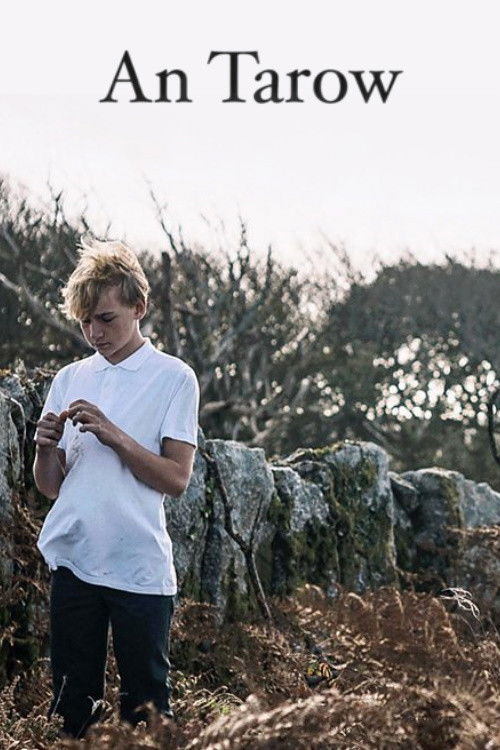 The Bull (2023) poster