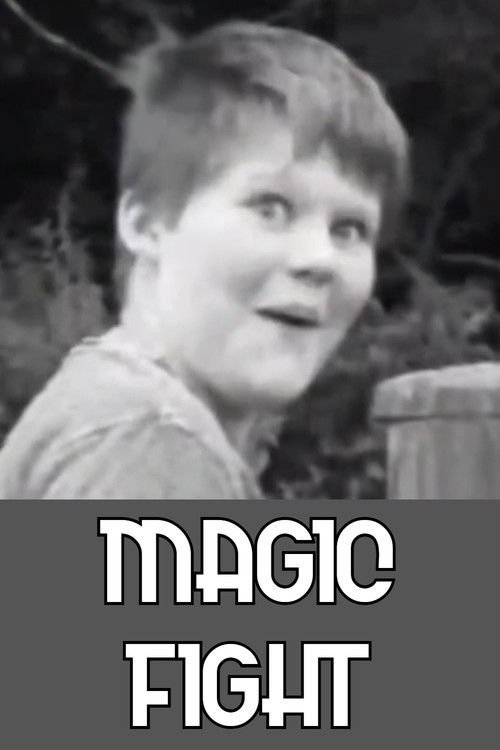Magic Fight (2017) poster