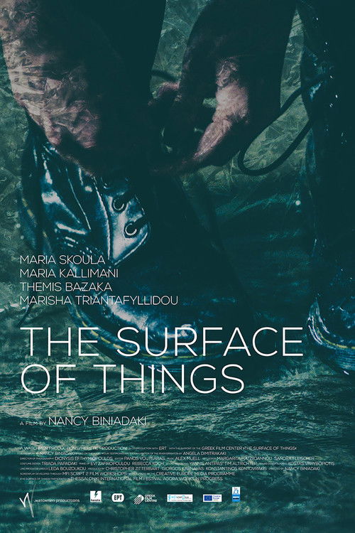 The Surface of Things (2017) poster