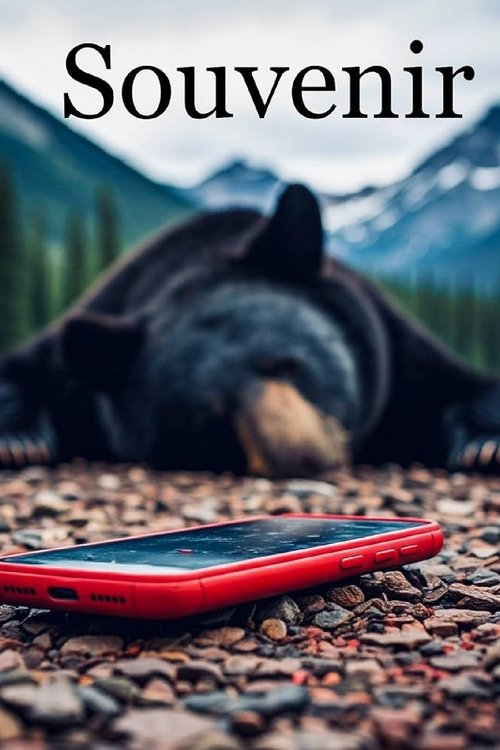 Souvenir (2025) poster
