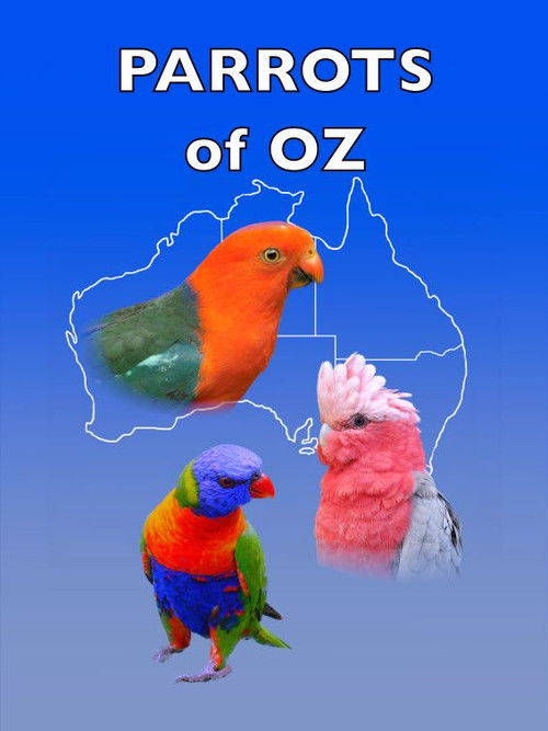 Parrots of Oz (2023) poster