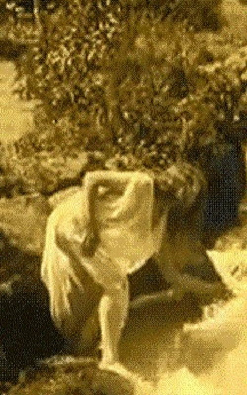 Nude Woman by Waterfall (1920) poster