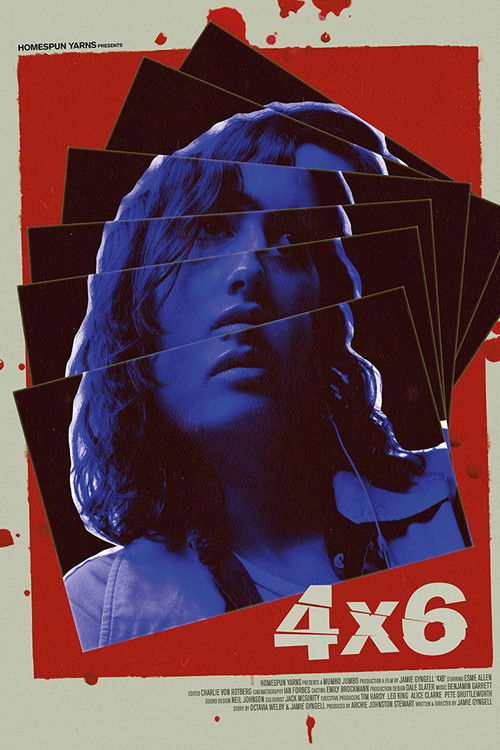 4x6 (2019) poster