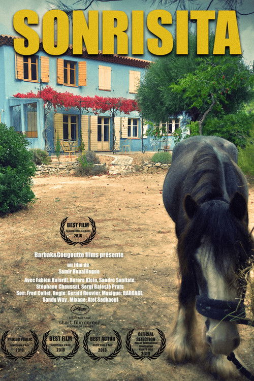 Sonrisita (2020) poster