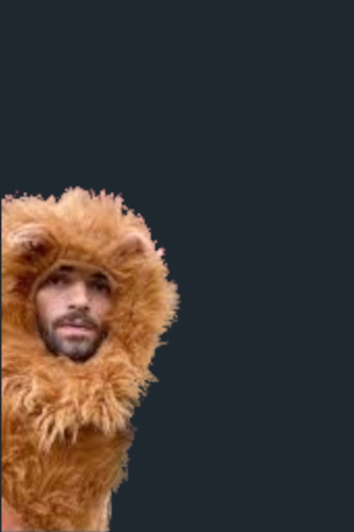 Mountain Lion: Healing Film of St. Francis (2024) poster