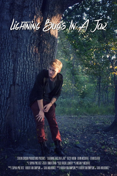 Lightning Bugs in a Jar (2015) poster