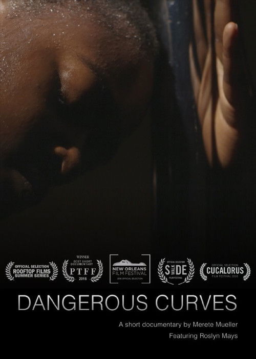 Dangerous Curves (2016) poster