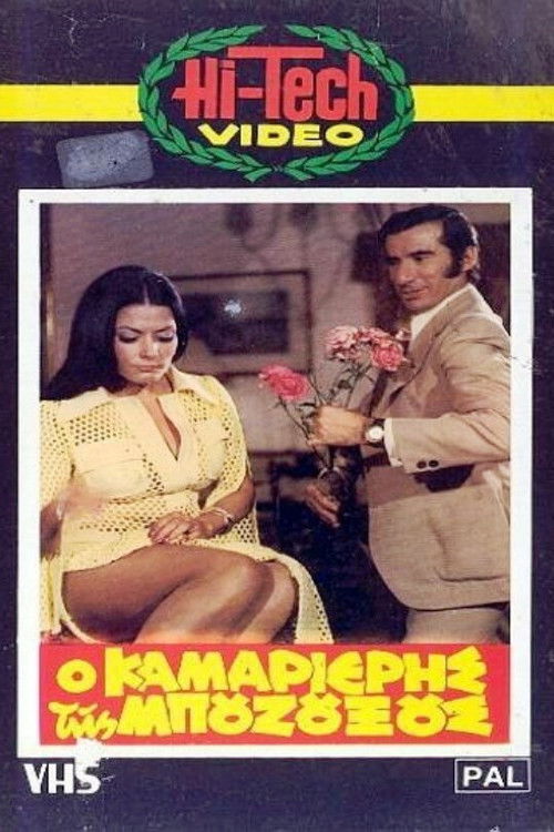 Ο καμαριέρης της μπουζουξούς (1971) poster