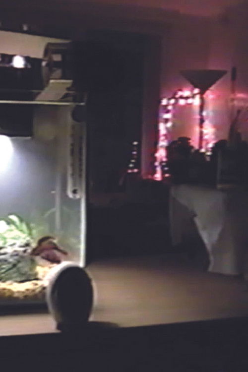 Space 11.16.22 (2022) poster