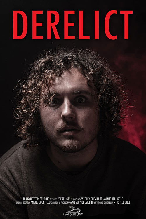 Derelict (2022) poster