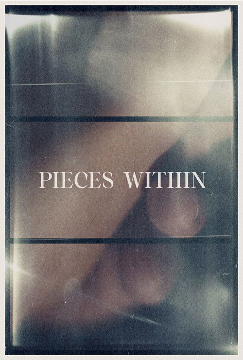 Pieces Within (2024) poster
