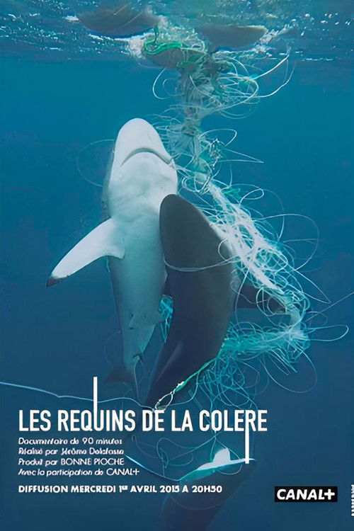 Les Requins de la Colère (2015) poster