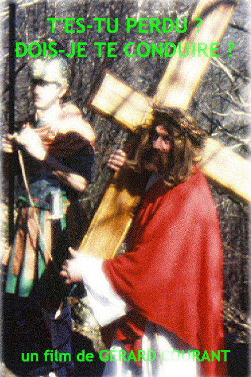 T'es-tu perdu ? Dois-je te conduire ? (2013) poster