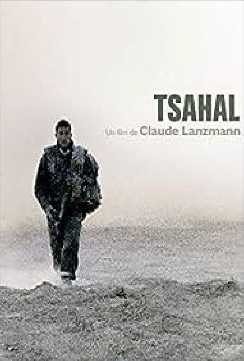 Lights And Shadows (2008) poster